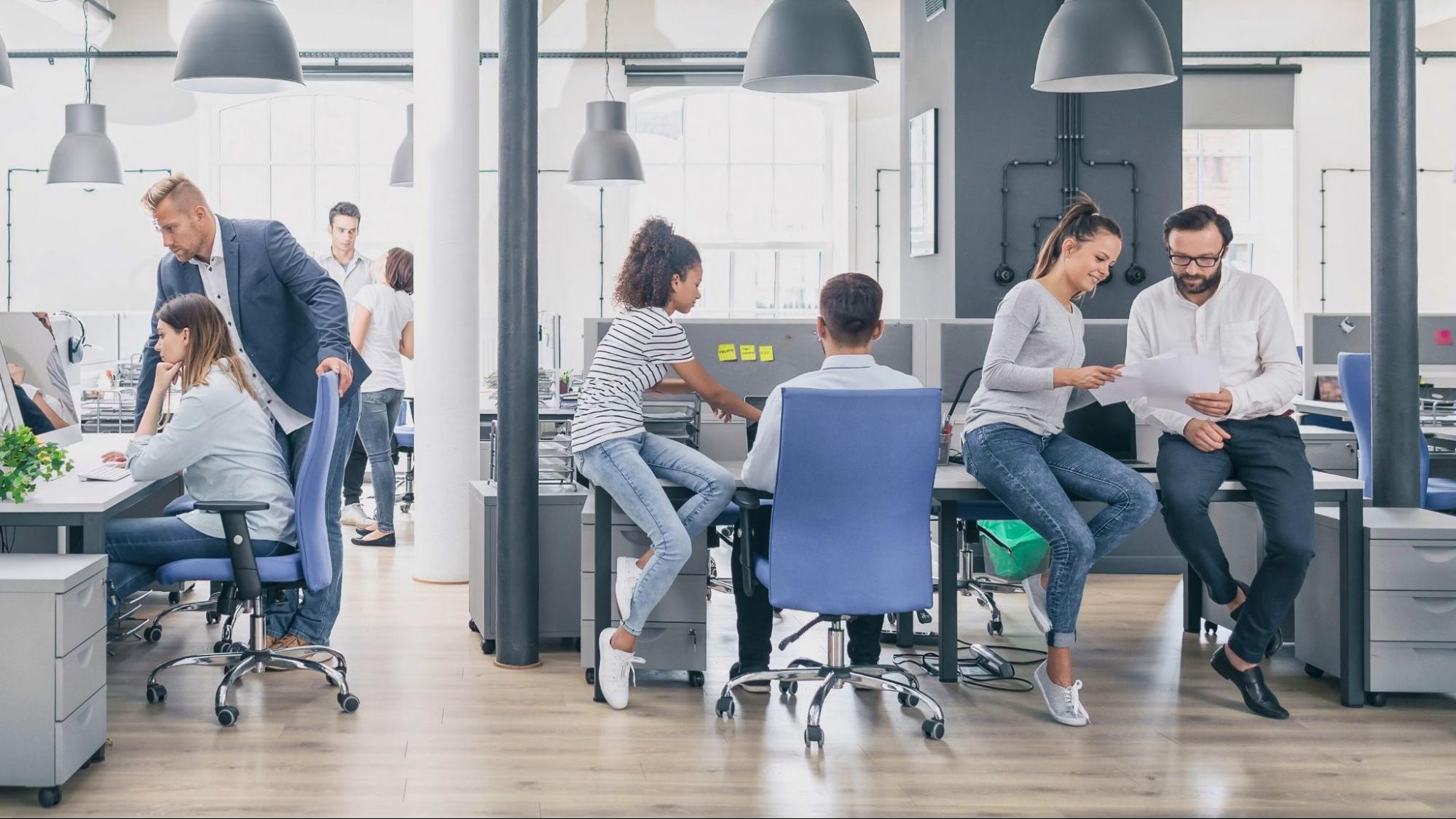 Designing for Functionality: How to Choose Paint Finishes That Suit Different Work Environments